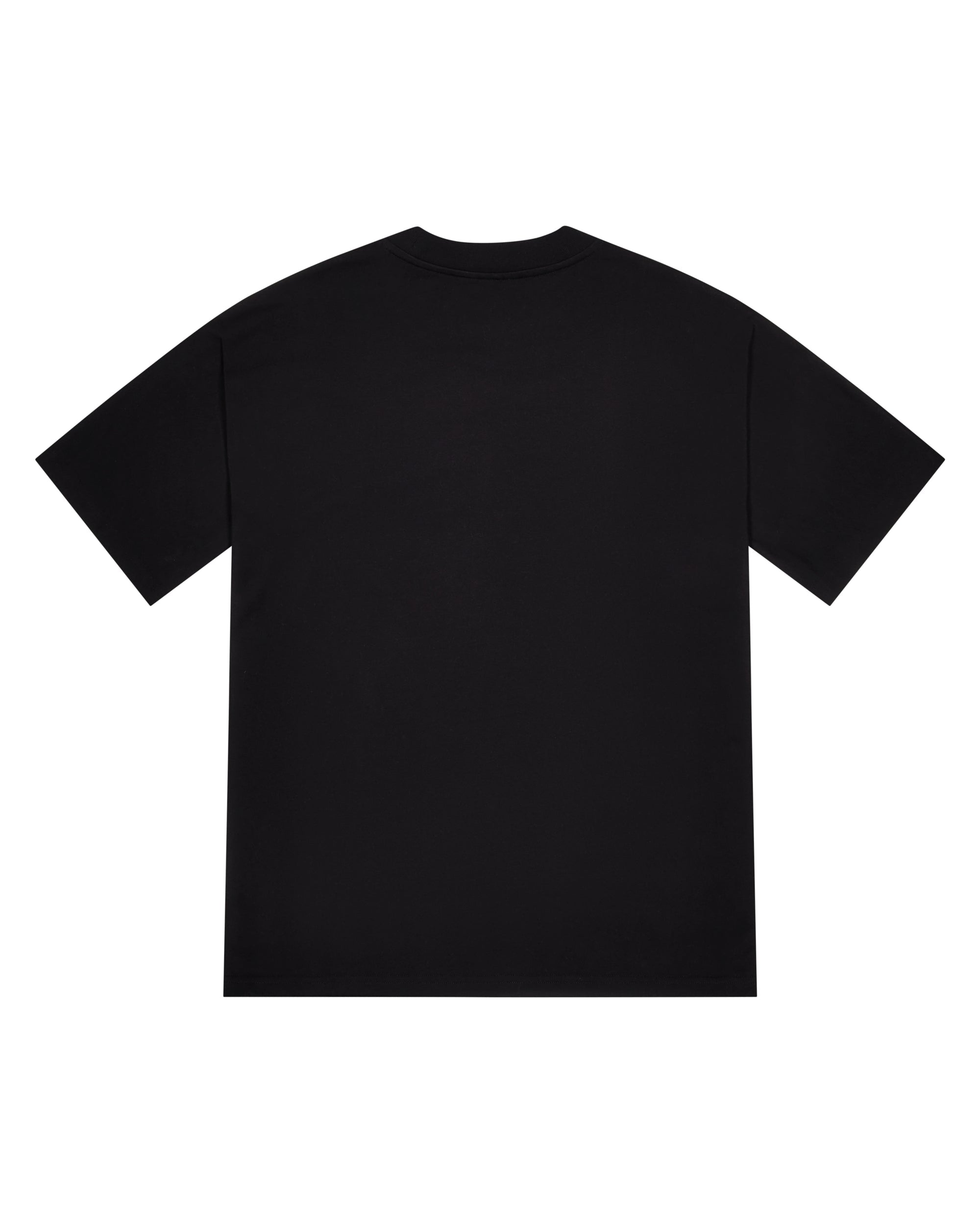 ARCH CHENILLE DECODED 2.0 TEE - BLACK/RED*