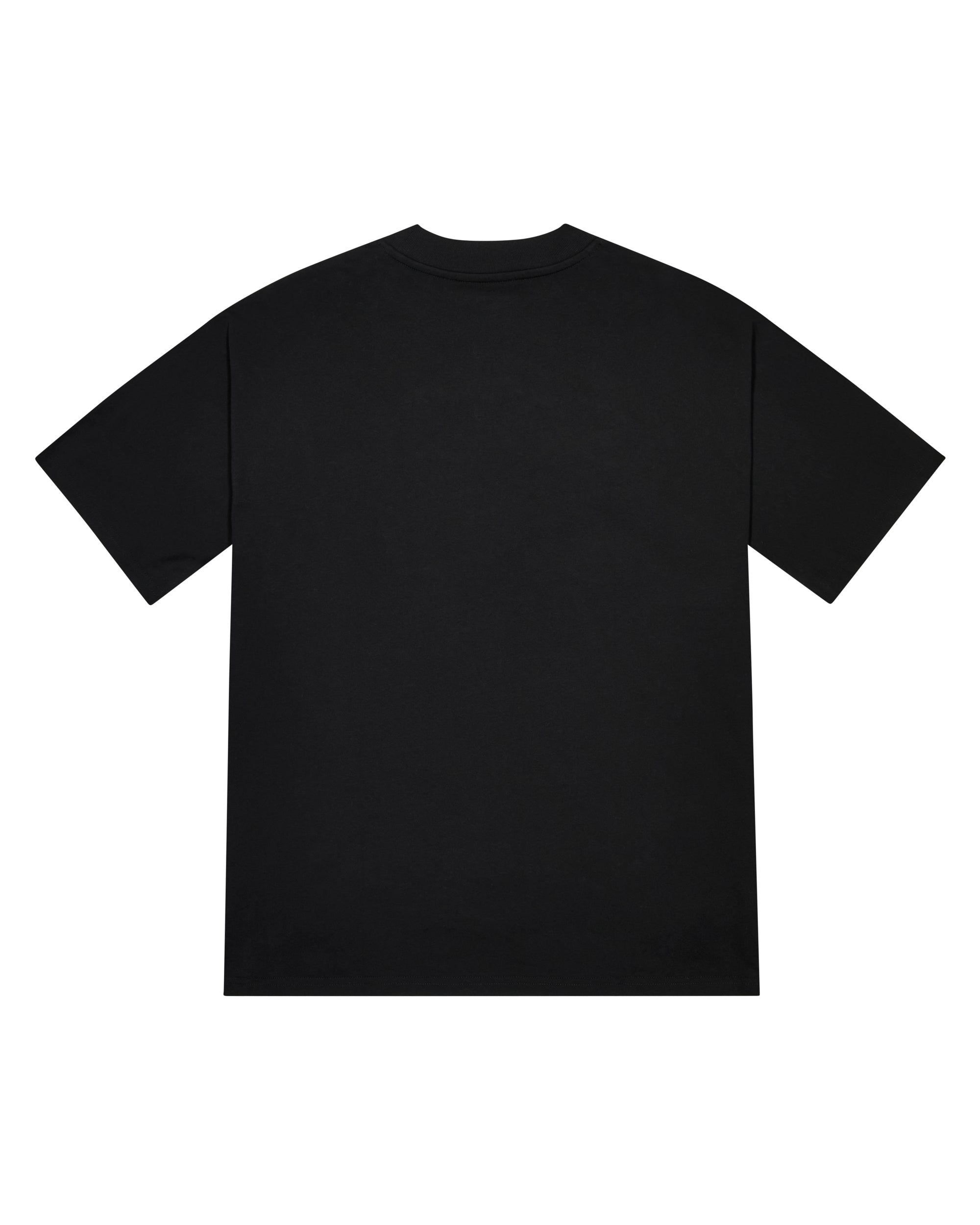 LAWS OF ATTRACTION TEE - BLACK
