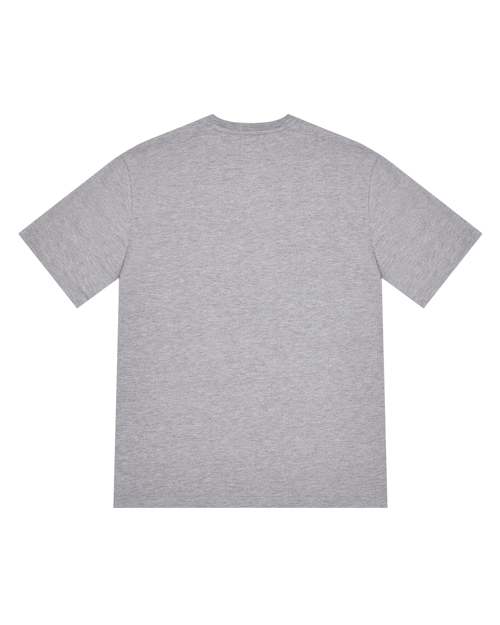 FOUNDATION BASE LAYER TEE - GREY*